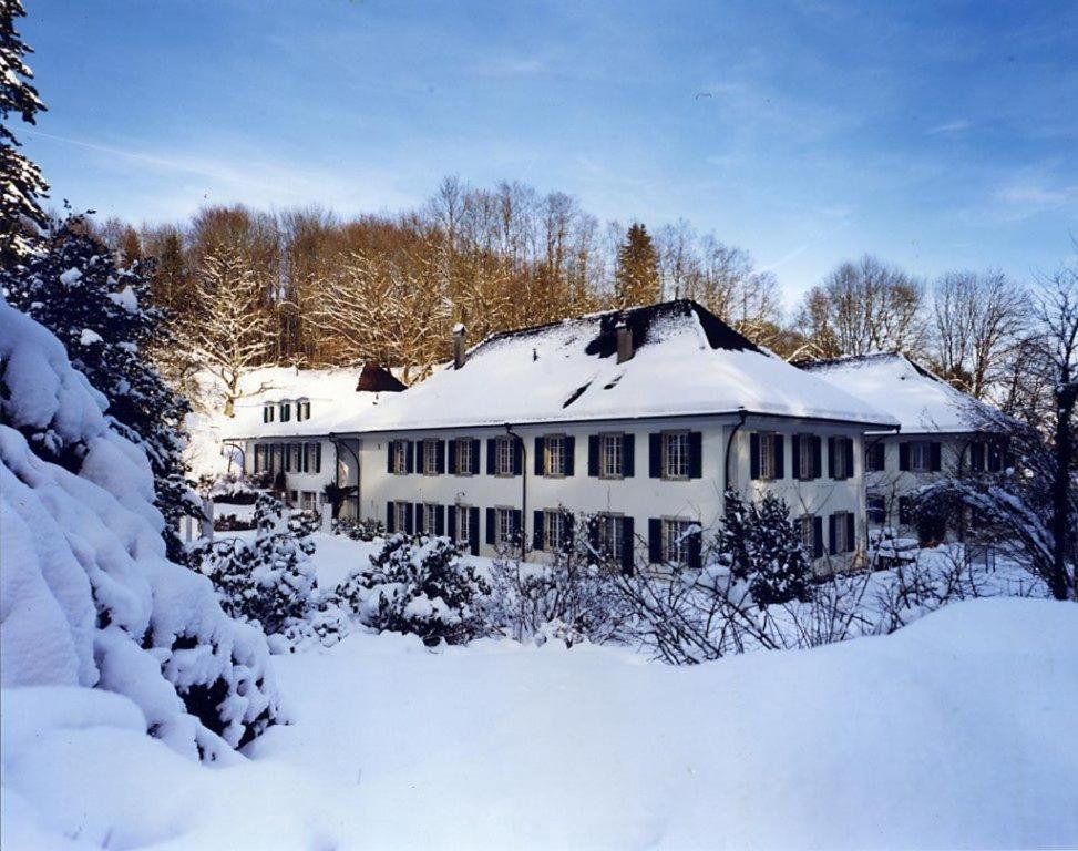 Chateau Attisholz Riedholz Kültér fotó